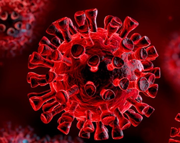 Corona Virus
